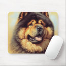 Recherche de chow tapis souris Chien