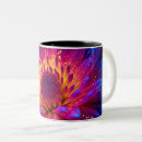 Search for explosive mugs Supernova