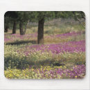 Recherche de adams tapis souris Couleur