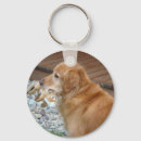 Recherche de goldens porteclés Chiens