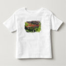 Search for arboretum tshirts Washington park arboretum