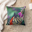 Search for monarch butterfly pillows Insect