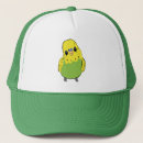 Search for budgie hats Cute