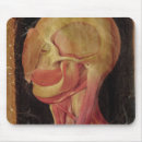 Search for human head electronics Anatomy