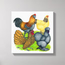 Search for bantam art Chicken