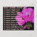 Search for geranium horizontal postcards Pink