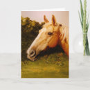 Search for chestnut cards Palomino