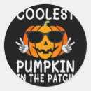 Search for coolest stickers Pumpkin