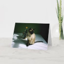 Search for siamese cat christmas cards Pet