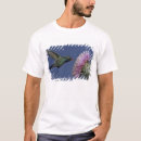 Recherche de pollen vêtements Faune