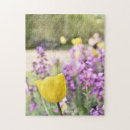 Search for tulip puzzles Flowers