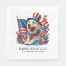 Search for 4th of july party supplies Fireworks