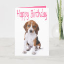 Search for happy birthday beagle Dog