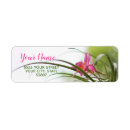 Search for fairies return address labels For her