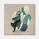 Recherche de plante de chat magnets Félin