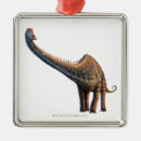 Search for history ornaments Illustration