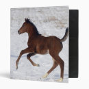 Search for arab binders Bob langrish
