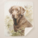 Recherche de laboratoire beau Labrador