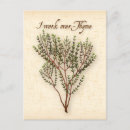 Recherche de thym cartes postales Herbe