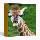 Search for giraffe patterns binders Giraffes