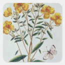 Search for collective stickers Botanical