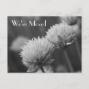 Recherche de photographie noire et blanche invitations Fleurs