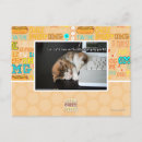 Recherche de chats de lol Je peux avoir cheezburger