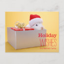 Search for containerful cards Box container