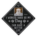 Search for funny graduation cap toppers Humour