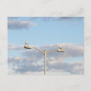 Recherche de lampadaire cartes postales Vacances