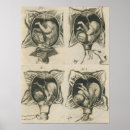 Search for midwife posters Birth