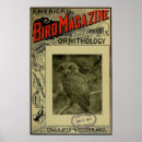Recherche de bird art Ornithologie