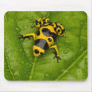 Search for bumblebee mousepads Wildlife