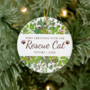 Search for rescue ornaments Tabby