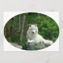 Recherche de loup blanc invitations Loups blancs