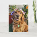 Search for golden retriever easter cards Dog