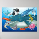 Search for cartoon dolphins posters Sea life