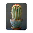 Search for barrel photography Cacti