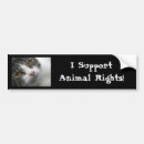 Search for animal rights bumper stickers Animals