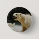 Recherche de polaire badges Réchauffement climatique