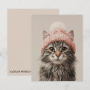 Search for cat humor note cards Cute