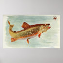 Search for love fishing posters Brook trout
