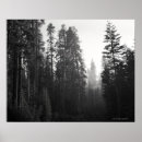 Search for wildfire posters Smoke