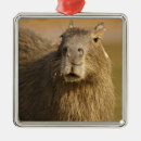 Search for mcdonalds ornaments Mary ann mcdonald