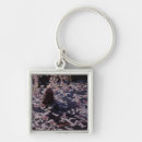 Search for floating keychains Animal