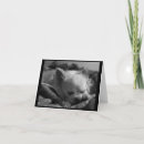 Search for sweet dog cards Miss you
