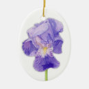 Search for iris ornaments Green