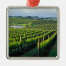 Search for grapevine ornaments Vineyard