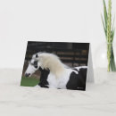 Search for gypsy vanner horse cards Headshot