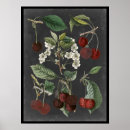 Search for kitchen art posters Botanical